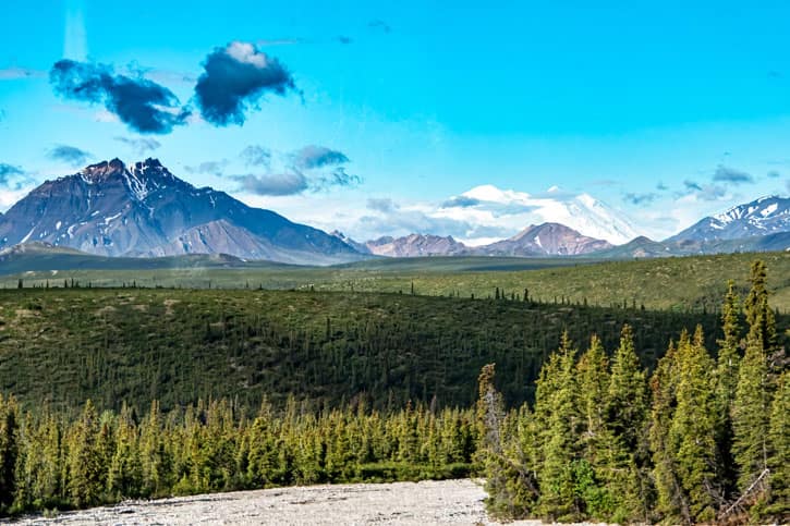 Alaska's Denali National Park