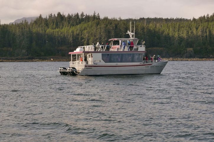Icy Strait Point whale watching