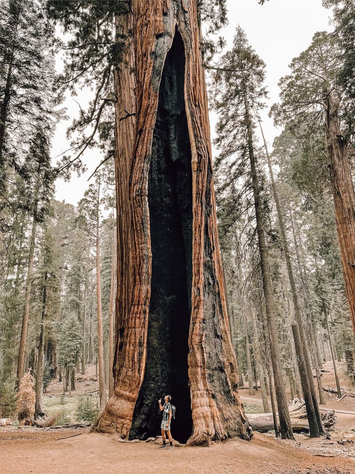 Sequoia and Kings Canyon National Parks in California